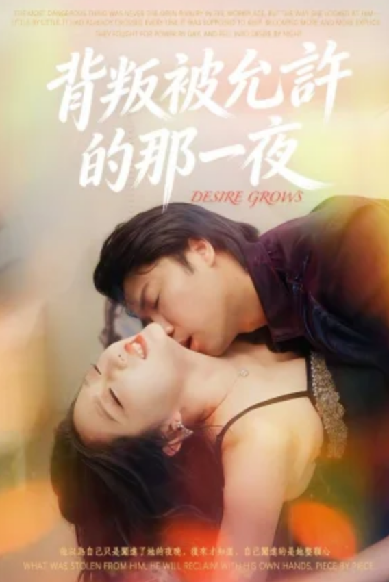 背叛被允许的那一夜&集团里的仨女人（30集）擦边剧 周艺丹、陈晨-午夜剧场
